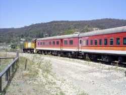 Ozback cars
