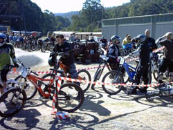 Down Hill Bikers