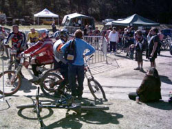 Down Hill Bikers