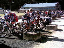 Down Hill Bikers