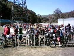 Down Hill Bikers