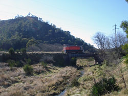 ex BHP Locomotive D20
