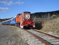 ex BHP Locomotive D20