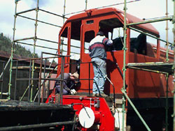 Loco D20